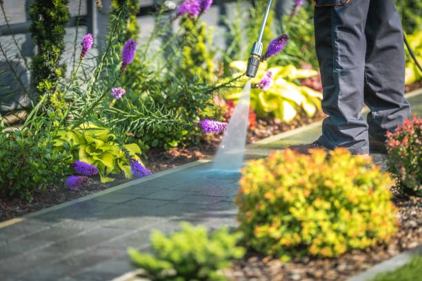Best Patio and Deck Pressure Washing  in Skidway Lake, MI