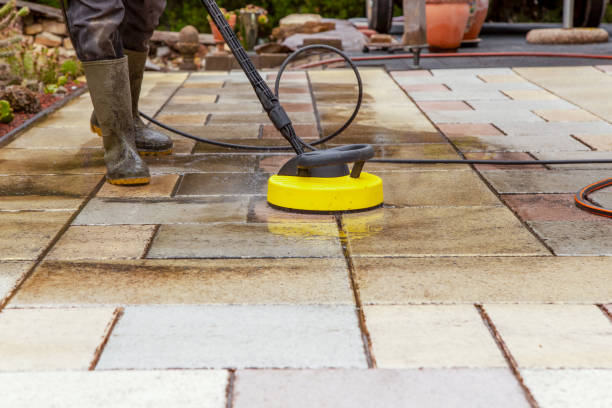 Best Driveway Pressure Washing  in Skidway Lake, MI
